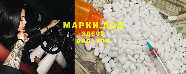 трава Осинники
