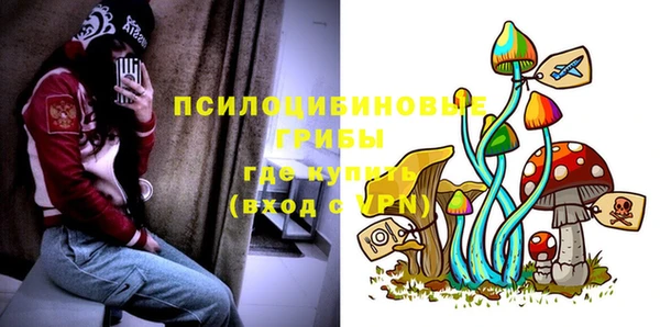 трава Осинники